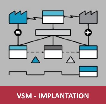 vsm-implantation